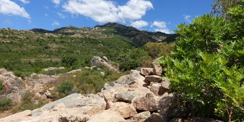 Castellu d’Araghju