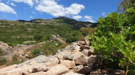 Castellu d’Araghju