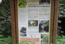 Guldenschlucht景点图片