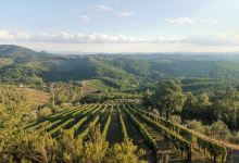 La Casa di Bricciano - Azienda Agricola Biologica - Organic winery景点图片