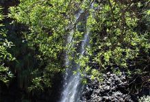 Charco De La Virgen景点图片