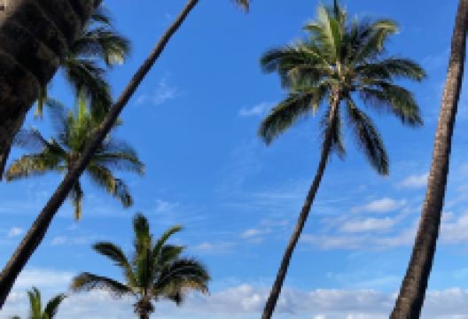 Charley Young Beach景点图片