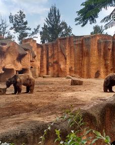 MORELIA ZOO ACUARIUM-莫雷利亚