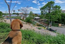 OPG Rasadnik Rujevica购物图片