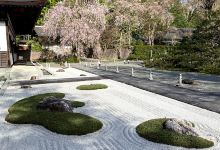 水月公園景点图片
