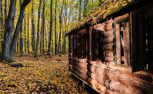Morgan Arboretum