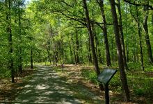 Crooked Creek Park景点图片