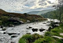 RSPB Gwenffrwd-dinas景点图片