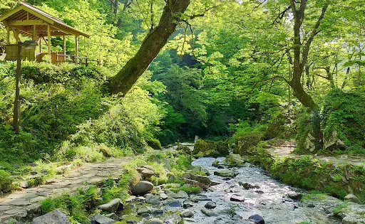 Amidaga Falls