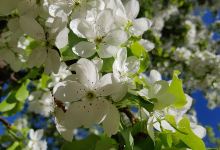 Reka Ukhtoma景点图片