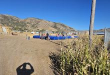 The Morgan Maze景点图片