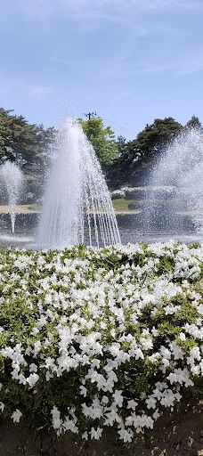 Matsugachi Park-长井市