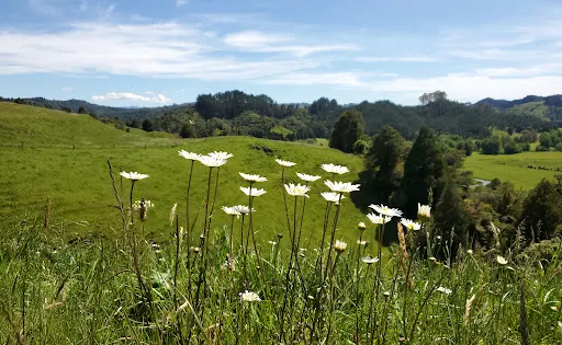 Waitomo Lookout Point