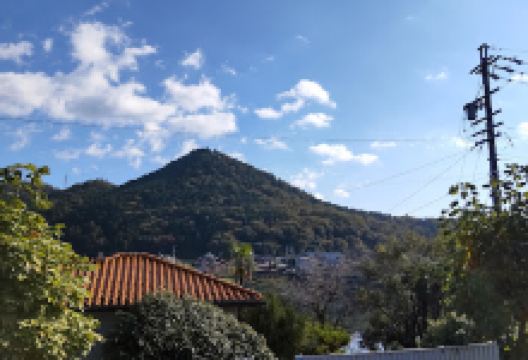 Tokoji Park景点图片