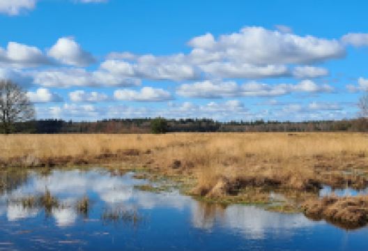 Tijdreisroute leewal景点图片