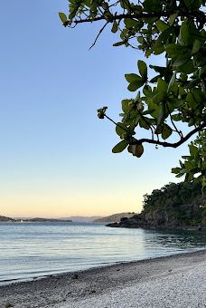Coral beach walking track-舒特港