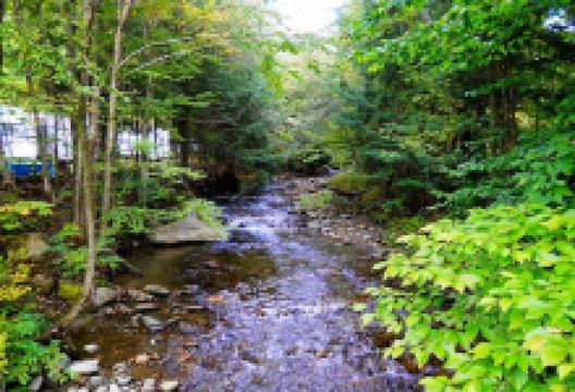 Millbrook Campground景点图片