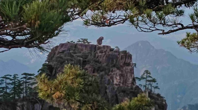 4-Day 4-day 3-night · Private Tour · Huangshan Scenic Area + Hongcun Village + Xidi + Huizhou Ancient Town
