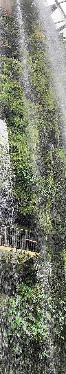 云雾林-新加坡-YoYo_2Z6R7X2Q