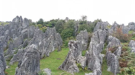 花山小石林風景區