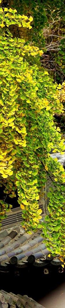 山东灵泉山旅游风景区-沂水
