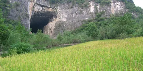 酉陽桃花源景區-大酉洞