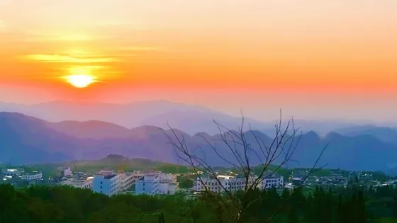 叫雞坡