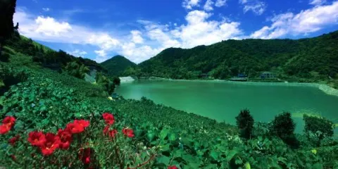 中國南方葡萄溝