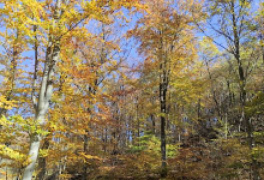 Val Manara Zambana Fai della Paganella景点图片