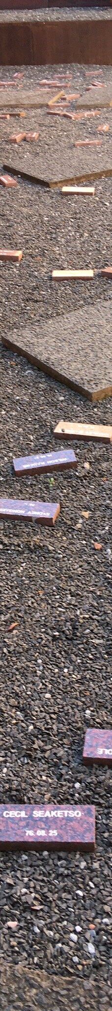 海克特‧彼特森博物馆-索韦托