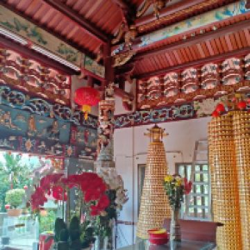 芙蓉图片