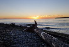 Birch Bay State Park景点图片