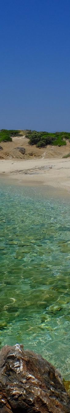 Cedar Forest of Alyko-纳克索斯