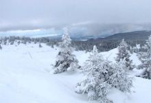 Parc Jura vaudois景点图片