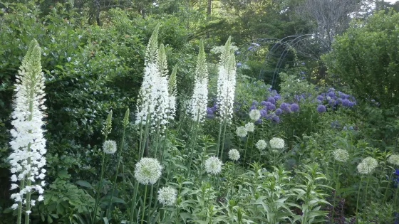 Barakura English Garden