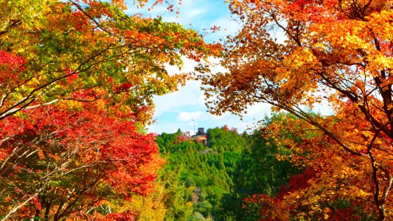 飯盛山
