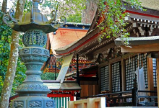 鹿岛神宫景点图片