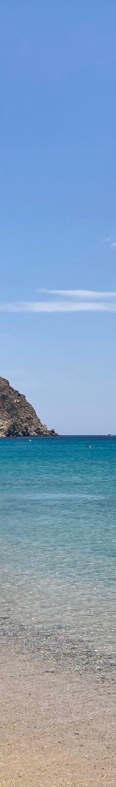 Elia海滩-米科诺斯