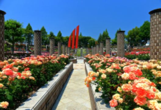 荒牧薔薇公園景点图片