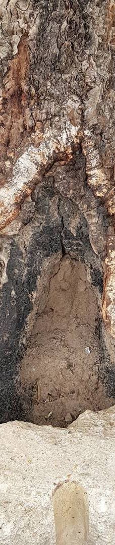 San Vicente de Chupaderos-伊塔比里图