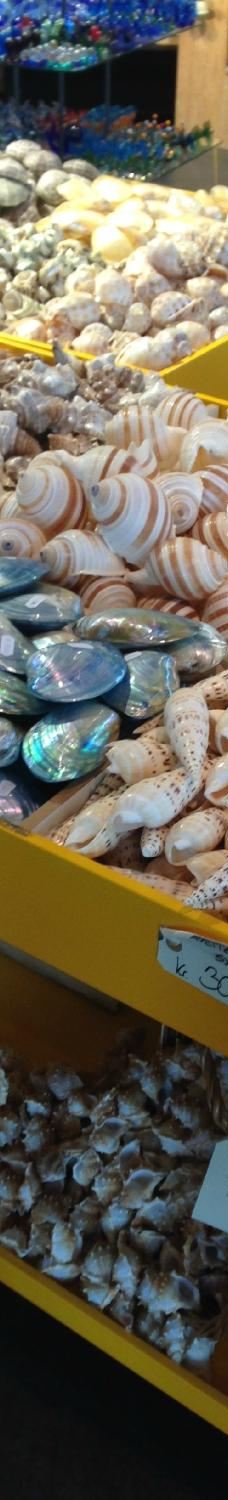 北海博物馆-希茨海尔斯