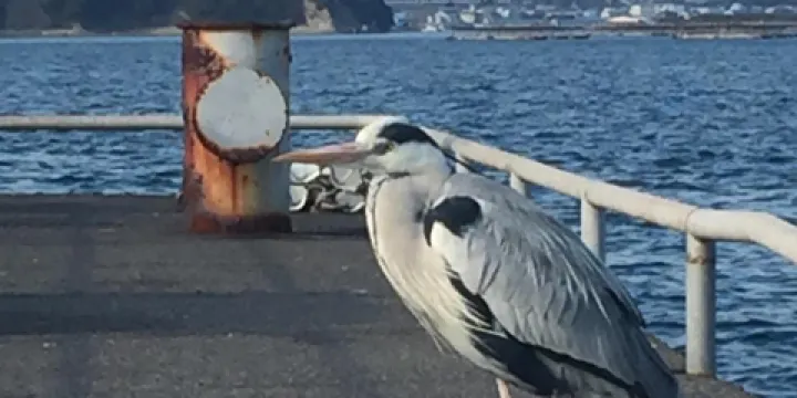 阿萬海岸海水浴場