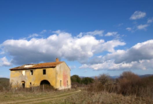 Parco Forestale di Poggio Neri景点图片