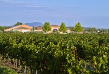 Domaine Massillan景点图片