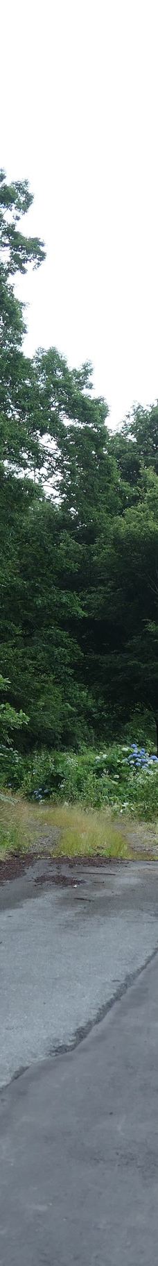 Cat's Shrine-高畠町