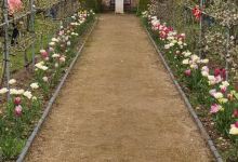 Ramsey Abbey Walled Garden景点图片