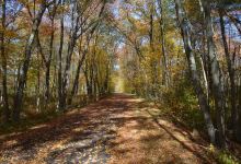 Upper Charles Bike Trail景点图片