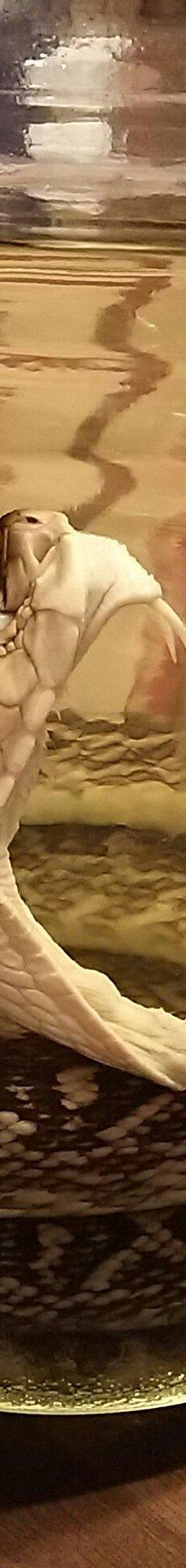 国際通り屋台村-那霸