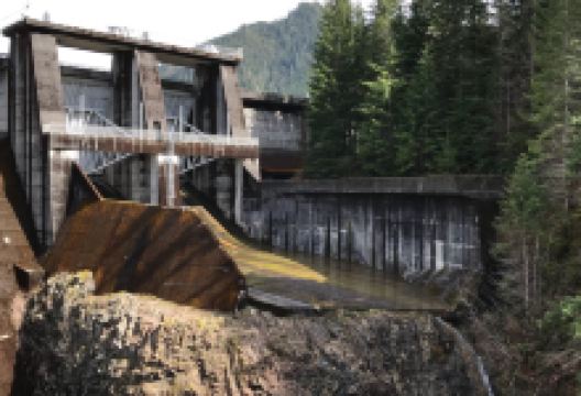 Wynoochee Dam景点图片