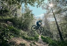 Bike Park - La Haie Fouassiere景点图片